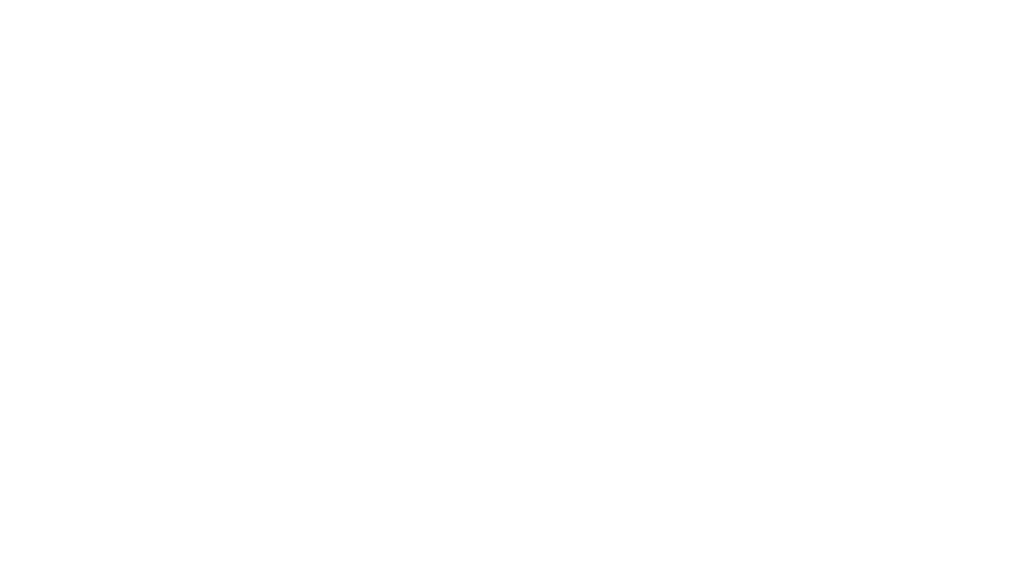 Pepsico Logo