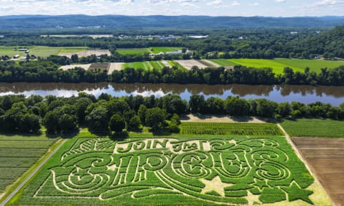 10+ Corn Mazes Near Boston: Fall 2024 thumbnail