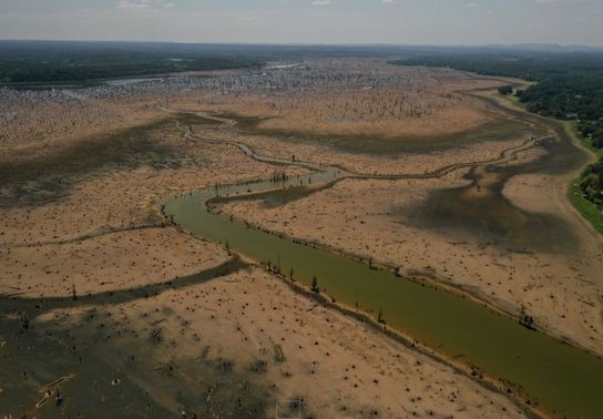 Image for story: Bed of Lake Conway undergoing largest habitat project in its history