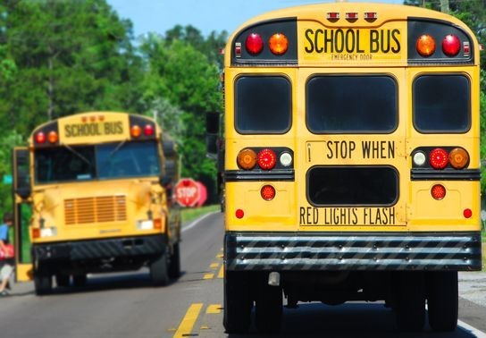 Image for story: Grandmother demands safer bus stops for Little Rock students, cites safety concerns