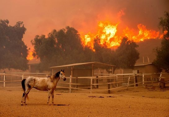 Image for story: 130+ structures destroyed in California wildfire as strong winds expected to subside