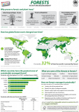 Forest Facts (Infographic)