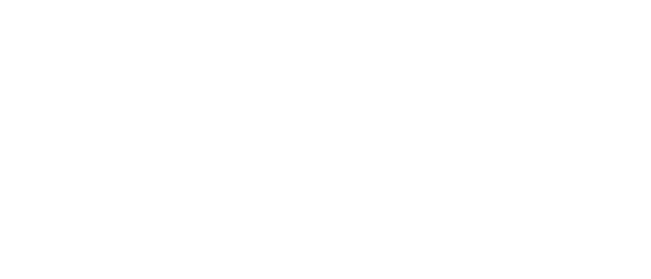 Nord Security