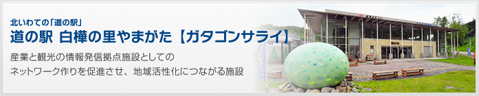 北いわての「道の駅」　道の駅 白樺の里やまがた【ガタゴンサライ】