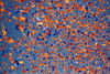 orange and blue confetti