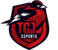 TGJ Esports