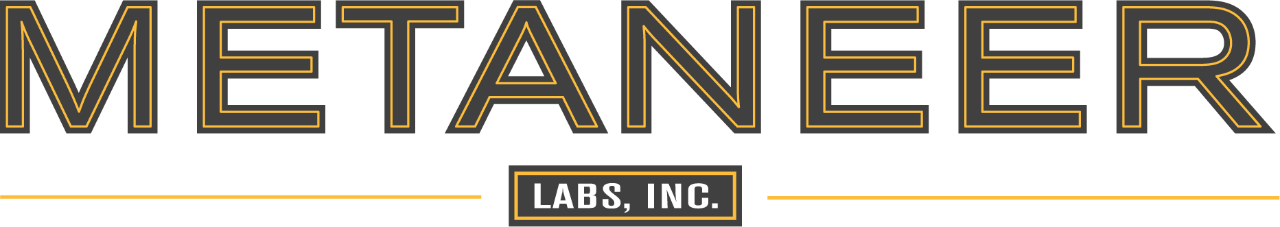 MetaNeer Labs Logo