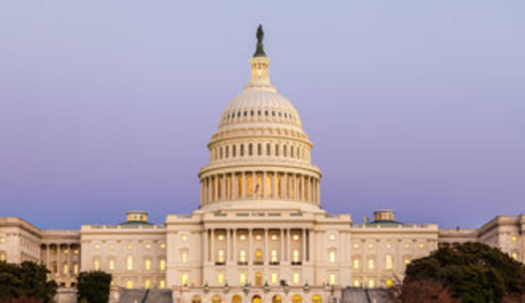 Capitol building in Washington, DC