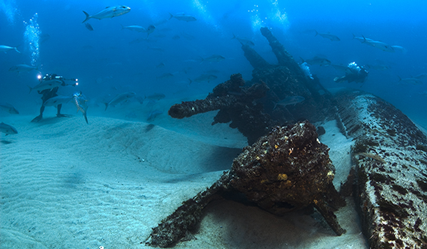 Divers surveying U-701