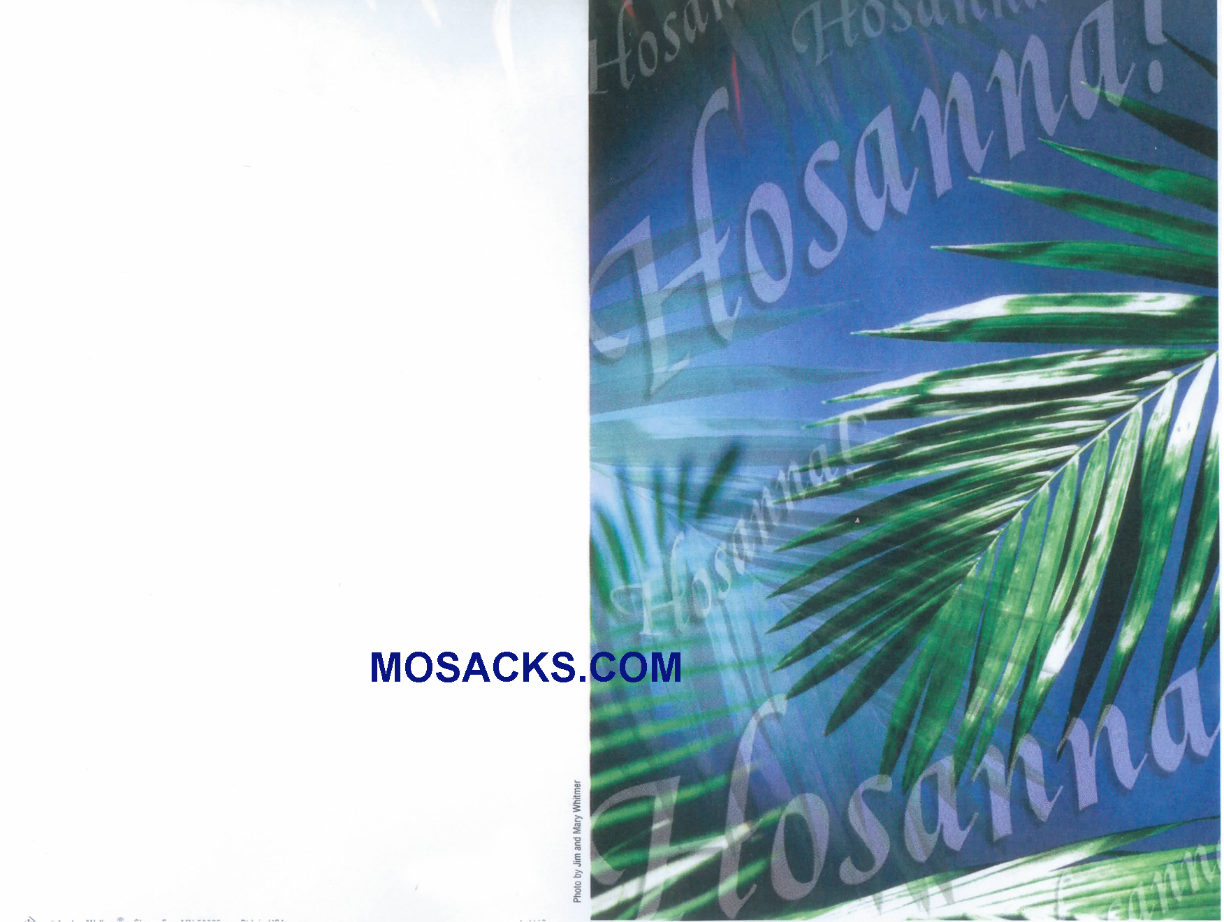 Bulletin Cover Hosanna 100 Pack-A4119