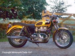 Triumph T100 2002 #10