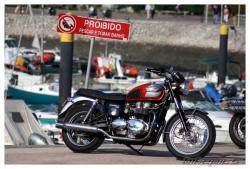 Triumph T100 2002 #11