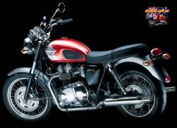 Triumph T100 2002 #2