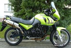 Triumph Tiger 2002 #5