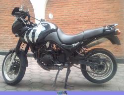 Triumph Tiger 2002 #8