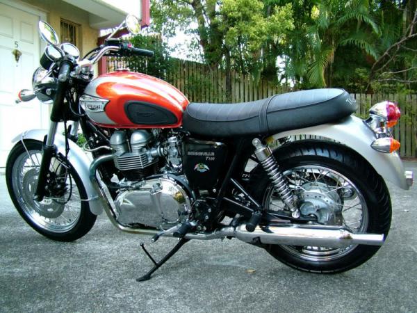 Triumph T100 2002 #1