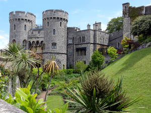 Windsor Castle Surrounded By Grass Wallpaper