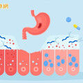 力拚2030年降低1/3癌症死亡率！國健署研擬幽門螺旋桿菌檢測 最快8月開始試辦