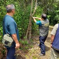 任意獵捕野生動物恐觸法 籲請民眾不要以身試法