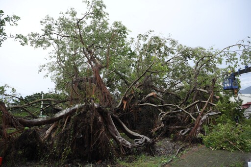 極端氣候與地震雙重威脅 魏嘉賢籲中央、地方合力強化花蓮防災