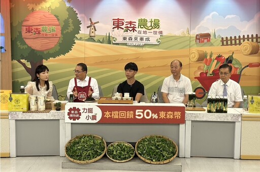 新北包種茶清香消暑 電視購物500組銷售一空