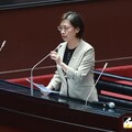 藍委出招遭駁回 藍轟：憲法法庭民進黨開的