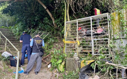 信義區頭顱案持續開挖拼湊完整遺骸 今相驗採DNA比對否為失蹤婦