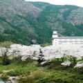 入住岐阜「郡上八幡飯店」 泡溫泉還能體驗在地祭典魅力