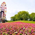 千葉縣「東京德國村」感受德國田園風景 - 太陽網