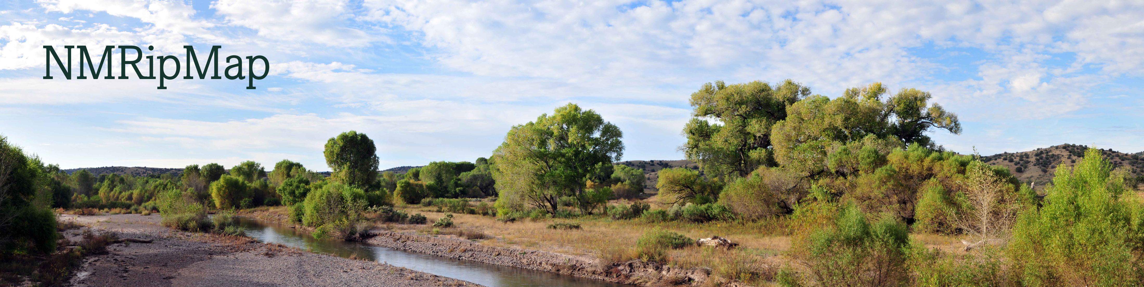 Riparian Landscape in New Mexico