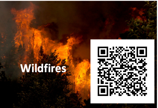 wildfires