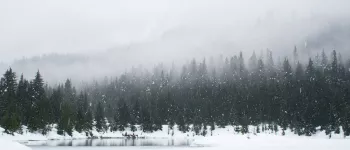 Snow falls on a pond in Washington state