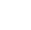 STI Logo