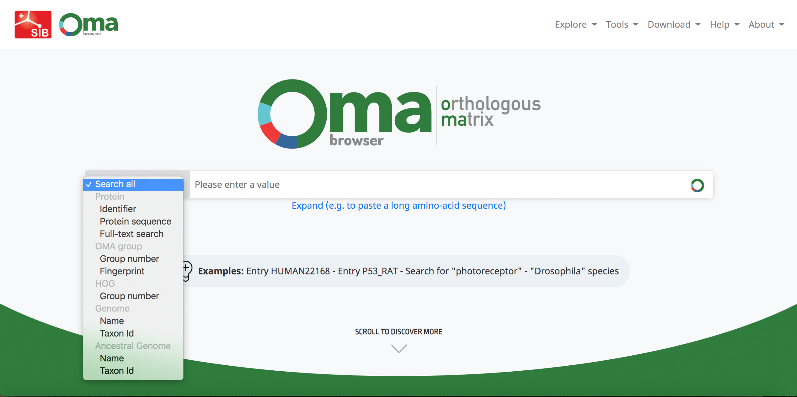 Graph showing growth of OMA over time.