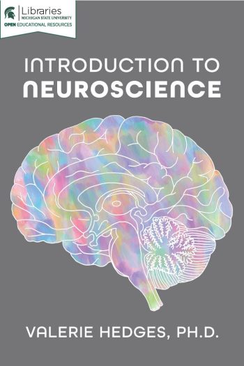 Cover: Introduction to Neuroscience