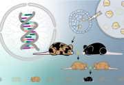 Genetics: Analysis and Applications