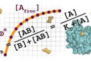 Quantitative Biology Workshop