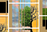 collage of trees and plants