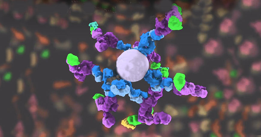 Star Cell Bio