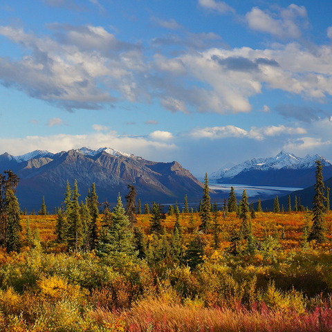 Wrangell-St Elias Natl Park by CheWei Chang, Flickr, CC BY-ND 2.0