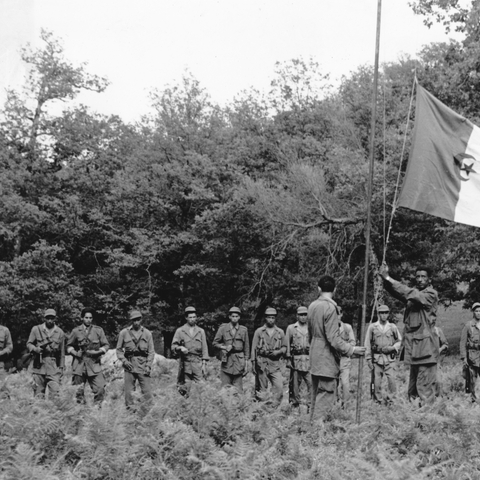 FLN soldiers next to an Algerian Flag, by Zdravki Pecar, CC BY-SA 4.0