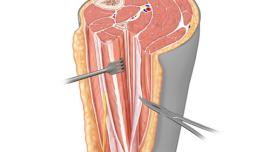 _Anatomy_Core_Cover_Photo