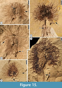 s figure15