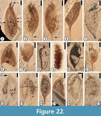 s figure22