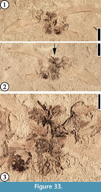 s figure33