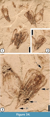 s figure34