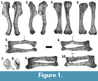 s figure1