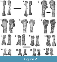 s figure2