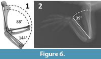 s figure6