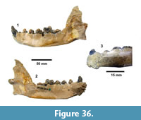 s figure36